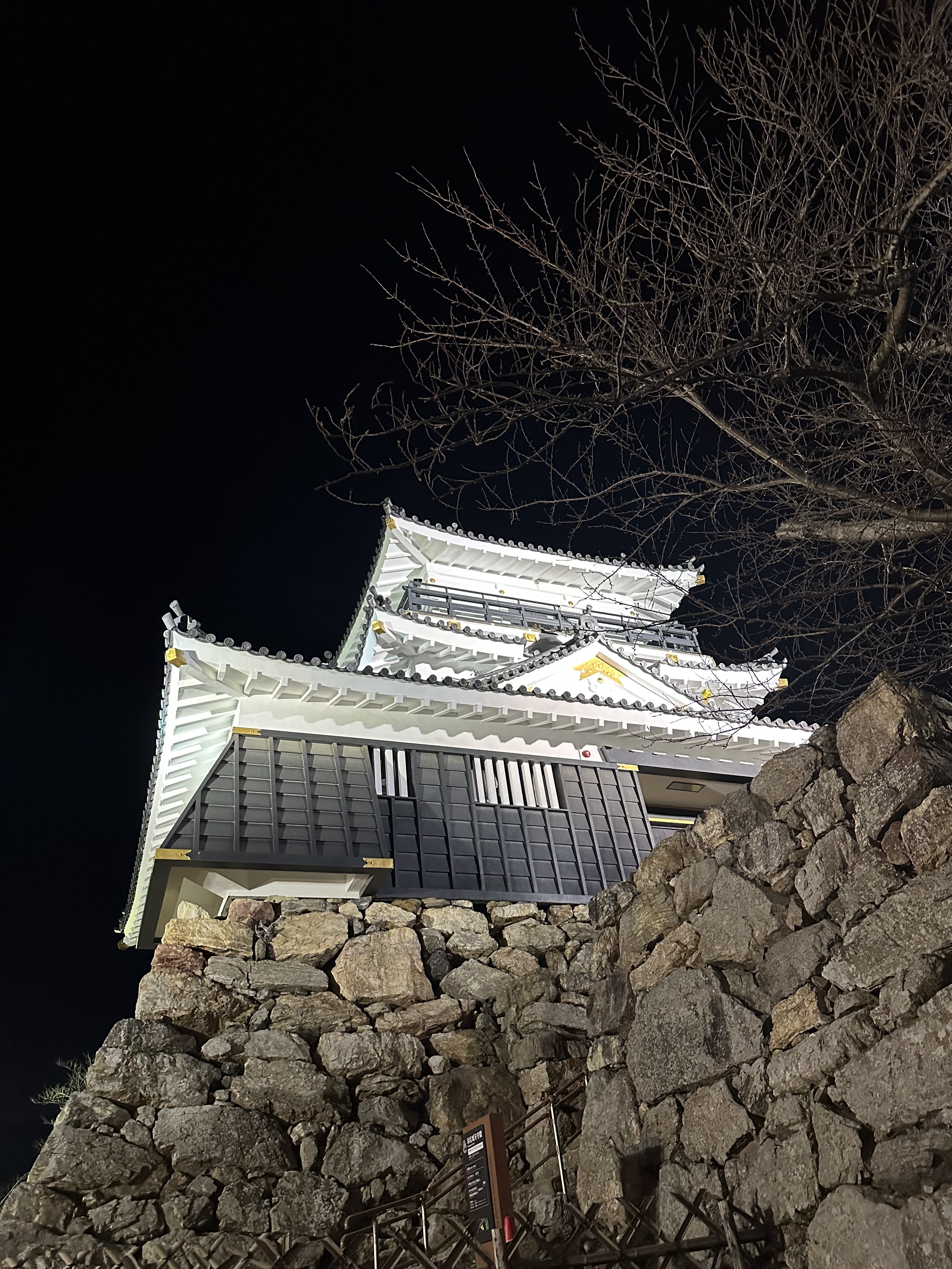 浜松市動物園のNIGHT ZOO 2019に氷を提供しました