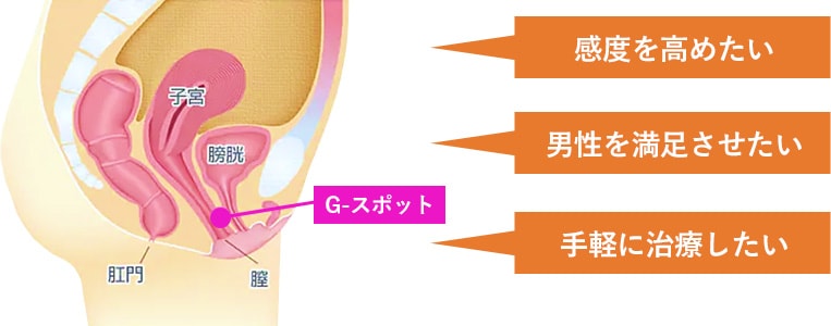 Gスポットはどこにある？ない人もいる？ 見つけ方・開発方法を紹介 | 医師監修 ｜