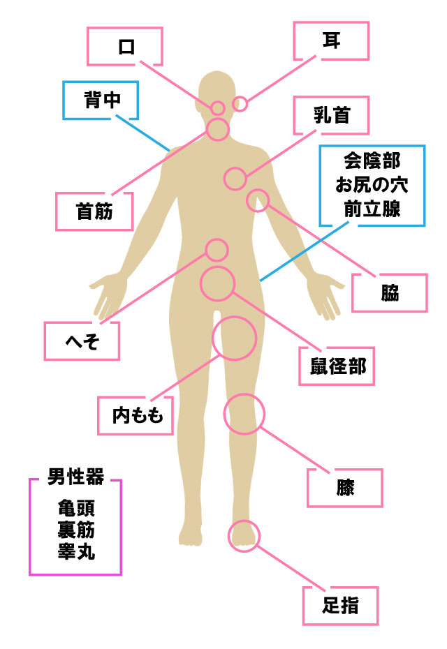 前立腺マッサージとは？｜浜松回春性感エステ｜浜松のえっちなマッサージ屋さん