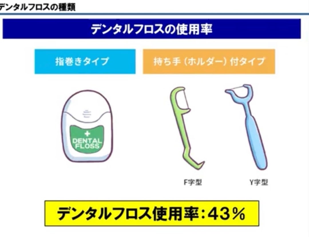 歯間ブラシ フロス 糸ようじ