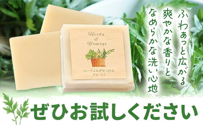 熊本晩柑 | green bean to