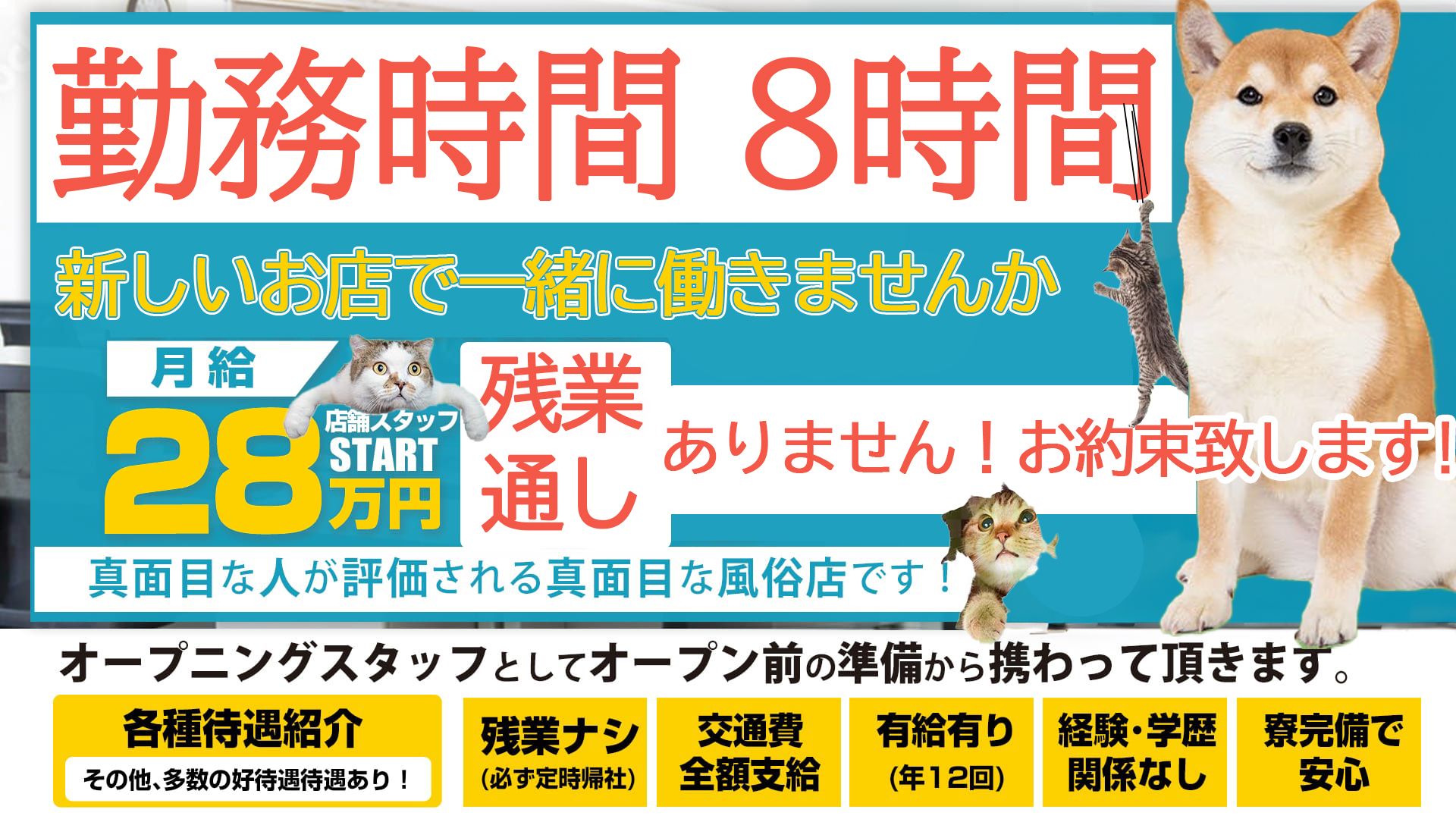 横浜しこたまクリニックの求人情報｜関内・曙町・福富町のスタッフ・ドライバー男性高収入求人｜ジョブヘブン