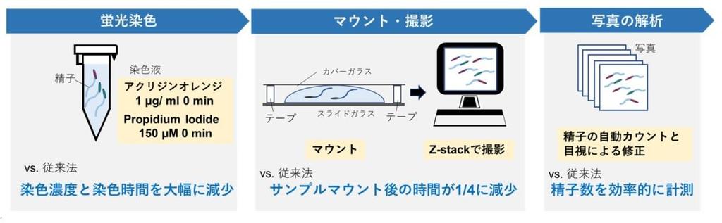 人工授精(AIH) | にしたんARTクリニック