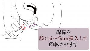 亀頭フェラのやり方とは？亀頭責めの舐め方のコツや体験談をご紹介！