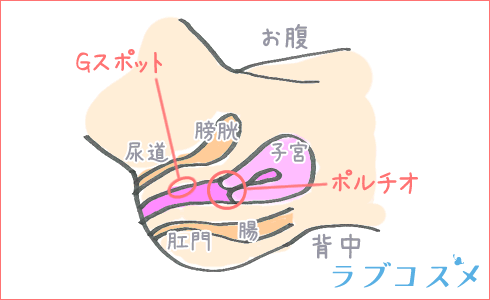 対面座位で快感を得る方法を伝授！女性が気持ちいい対面座位のやり方