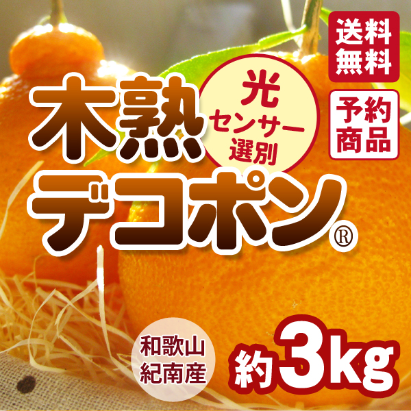 送料無料】木熟デコポン 約3kg（10～13玉入り） 紀州和歌山