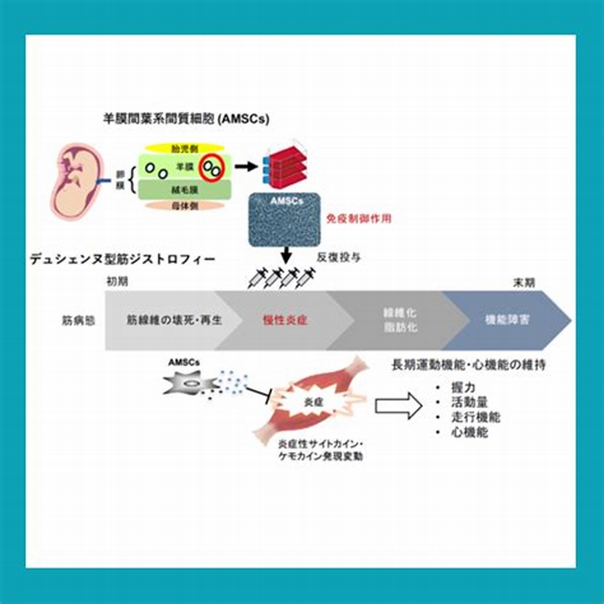 調理科 ::: 学校紹介 ::: 学校法人神村学園高等部