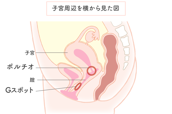 中イキのやり方！女性がイク理由～【医師監修】 - 夜の保健室