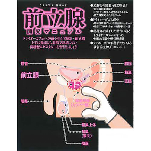 女性がセックスでイク】オーガズムの全てを医学的に徹底解説！ - 美容外科｜船橋中央クリニック&青山セレスクリニック