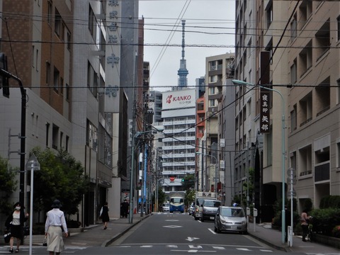 ザ・パークレックス人形町 (中央区 日本橋富沢町)の賃貸事務所・賃貸オフィス情報【オフィス移転navi】