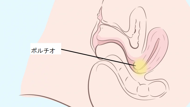 ラブコスメ - . 実は、膣の位置（上付き・下付き）で