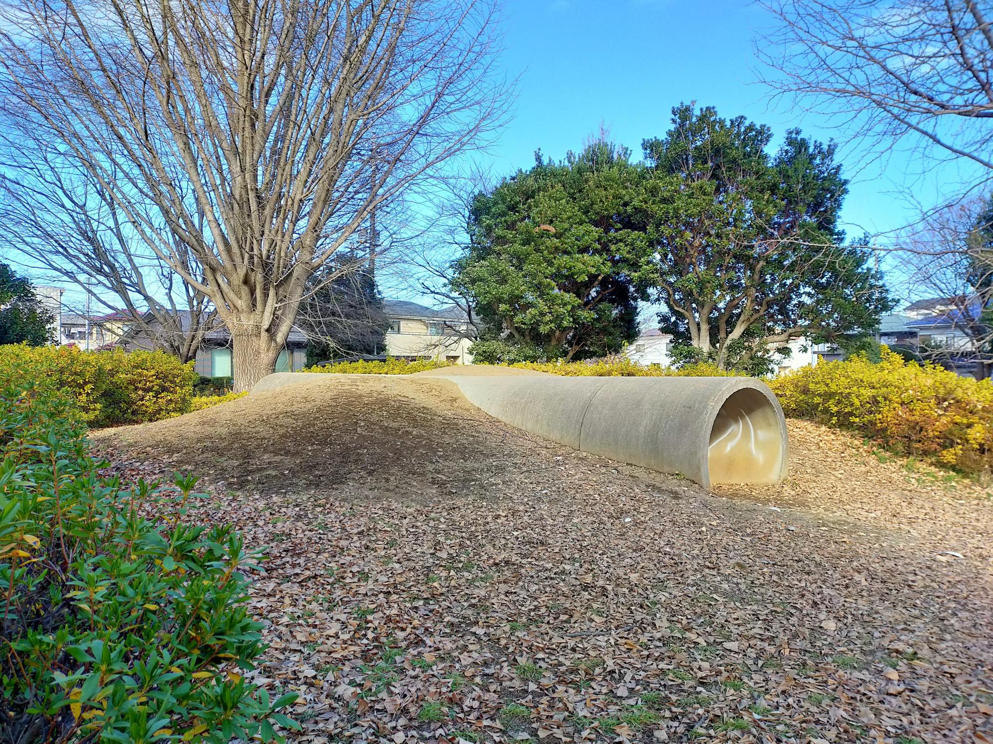 売木村「向原の蓮池」と根羽村「黒地の柿の木」の銀河 : フォトギャラリー「野塾写真館」