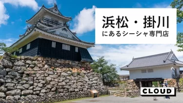 2024年】豊橋のシーシャおすすめ2選！評判・口コミ評価が高い所は？ - シーシャマガジン