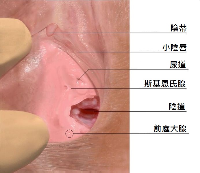 被痴汉把手深入丝袜里 湿润潮吹的美脚女 NHDTB-238 : AVHD101