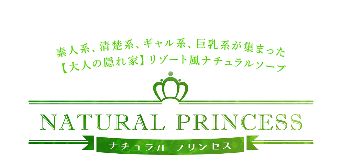 川崎ソープ アラビアンナイト 料金システム |