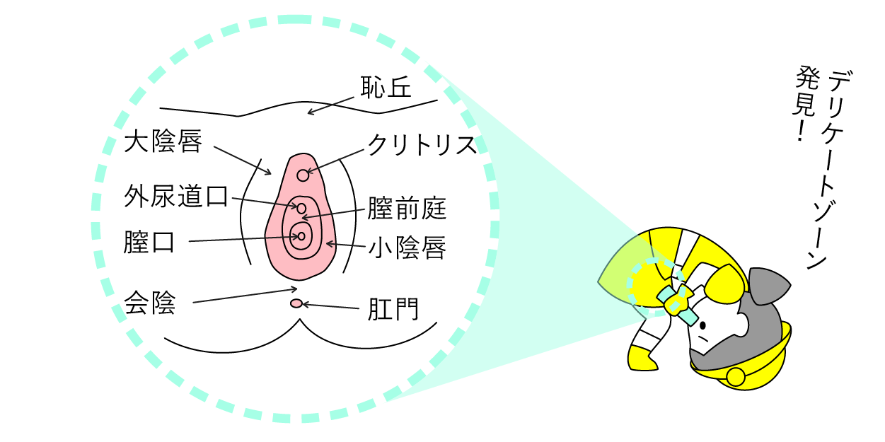 寝ながら出てしまうのはなんで？夢精をしたときの対処法は？汚れたパンツやシーツの洗い方【12歳までに知っておきたい男の子のためのおうちでできる性教育】(ラブすぽ)  - goo ニュース