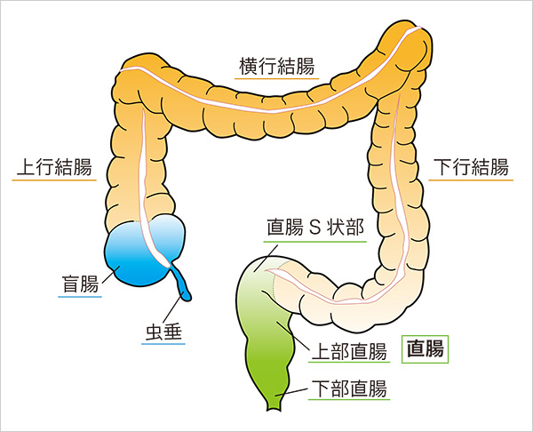 BL漫画】水柱の落日 巨根が義勇の結腸に入りっぱ！［Bの食卓］【同人誌】-BL向け漫画（ボーイズラブ）