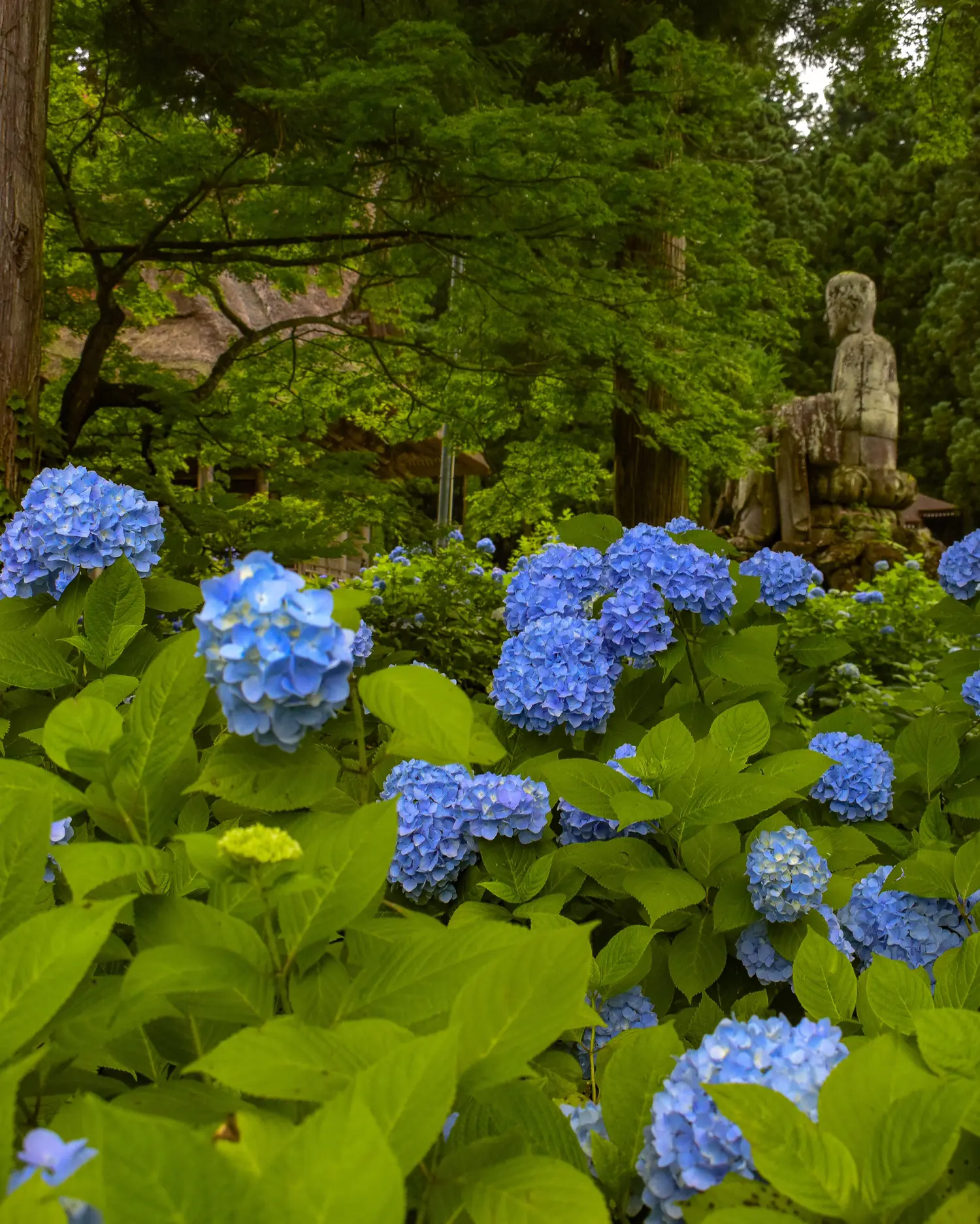 医療法人杉村会 杉村病院 ー 熊本県熊本市中央区