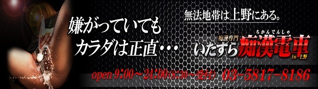 上野：イメクラ】「いたずら痴漢電車in上野」ひめか : 風俗ガチンコレポート「がっぷりよつ」