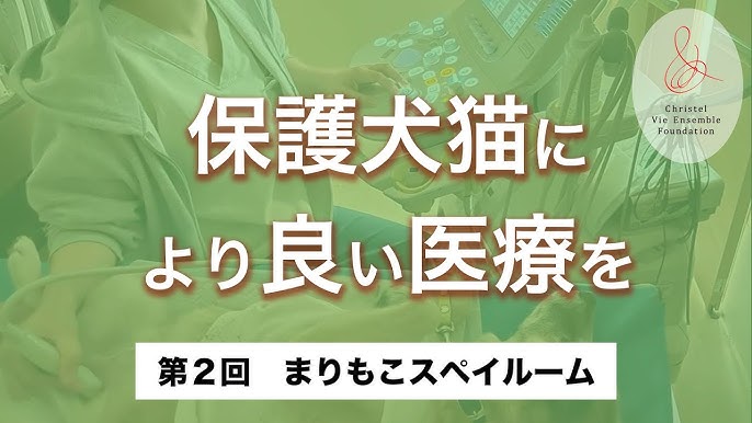 宝塚まりも動物病院の評判・口コミ - 兵庫県宝塚市【動物病院口コミ検索 カルーペット】