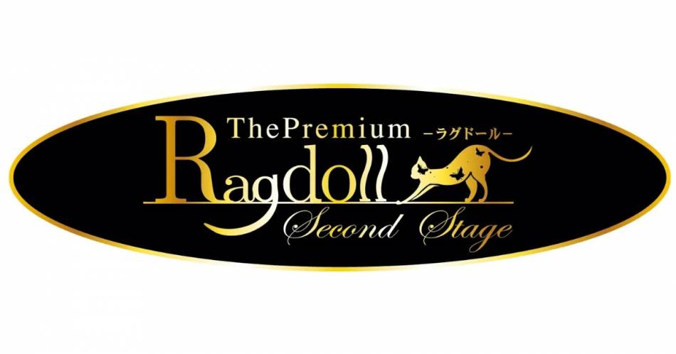 長岡市などのキャバクラ・クラブなどの週間お店アクセスランキング [新潟ナイトナビ - ナイト]