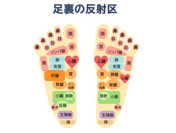 出張リフレクソロジー足つぼマッサージ短期講座 | 足つぼもボディマッサージも両方習えるリラクゼーションスクール(大阪休息館)ボディケアマッサージ,足つぼ ,リンパマッサージの資格取得講座