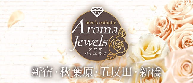 公式】銀座・新橋発高級出張メンズエステ The Aromaのメンズエステ求人情報 -