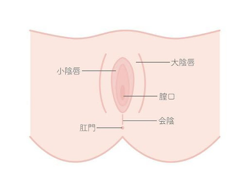 医師監修】ワセリンとは？使い方の基本から応用、副作用はあるの？｜健栄製薬のワセリンシリーズ｜健栄製薬