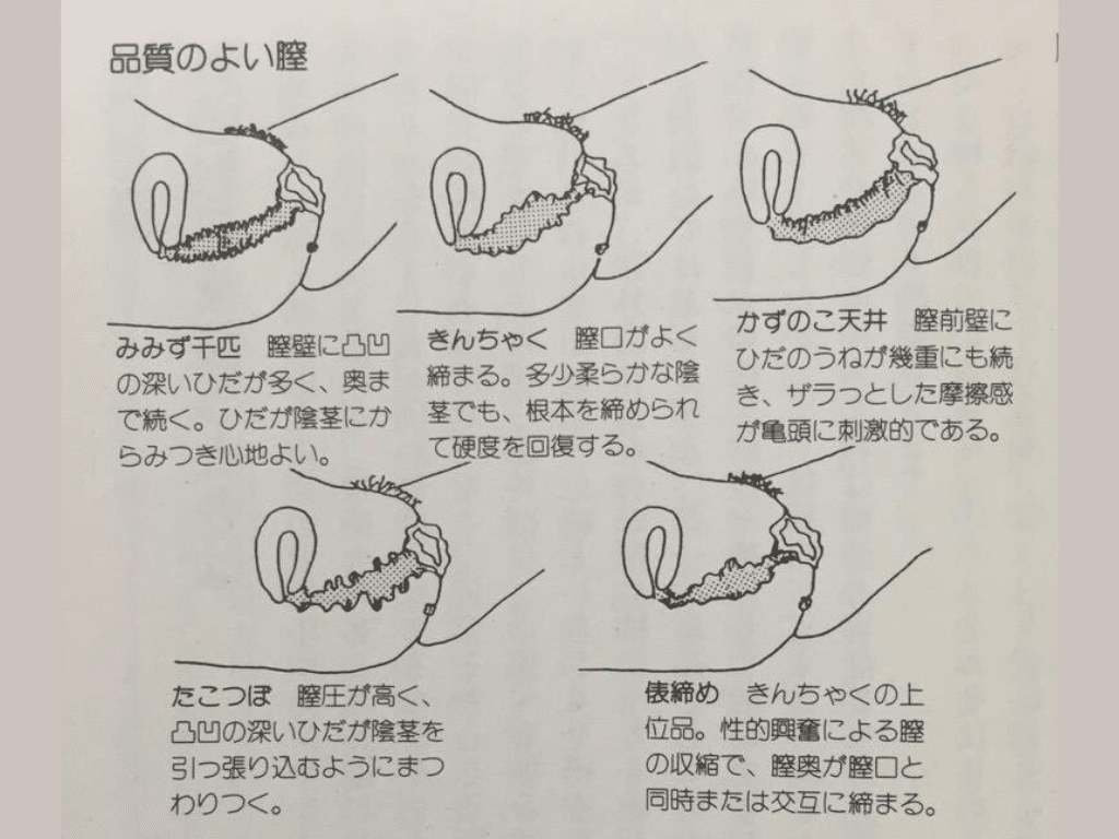 膣を名器に！女性のための美と健康を兼ね備えたケア法 | HIME CHANNEL BLOG