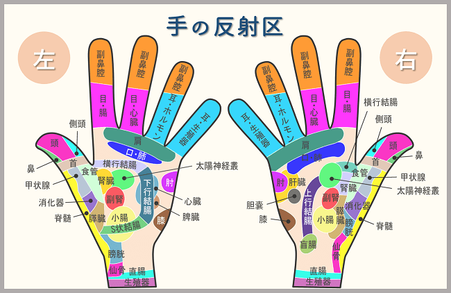 ハンドリフレクソロジーの効果とは｜リフレクソロジースクール・専門校｜日本リフレクソロジスト養成学院REFLE（リフレ） リフレクソロジー スクール・専門学校