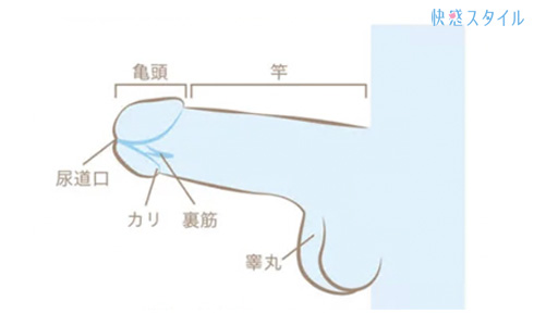 最高のオナニー】あまりに気持ちいいオナニー10選！変わったやり方や方法を紹介｜駅ちか！風俗雑記帳