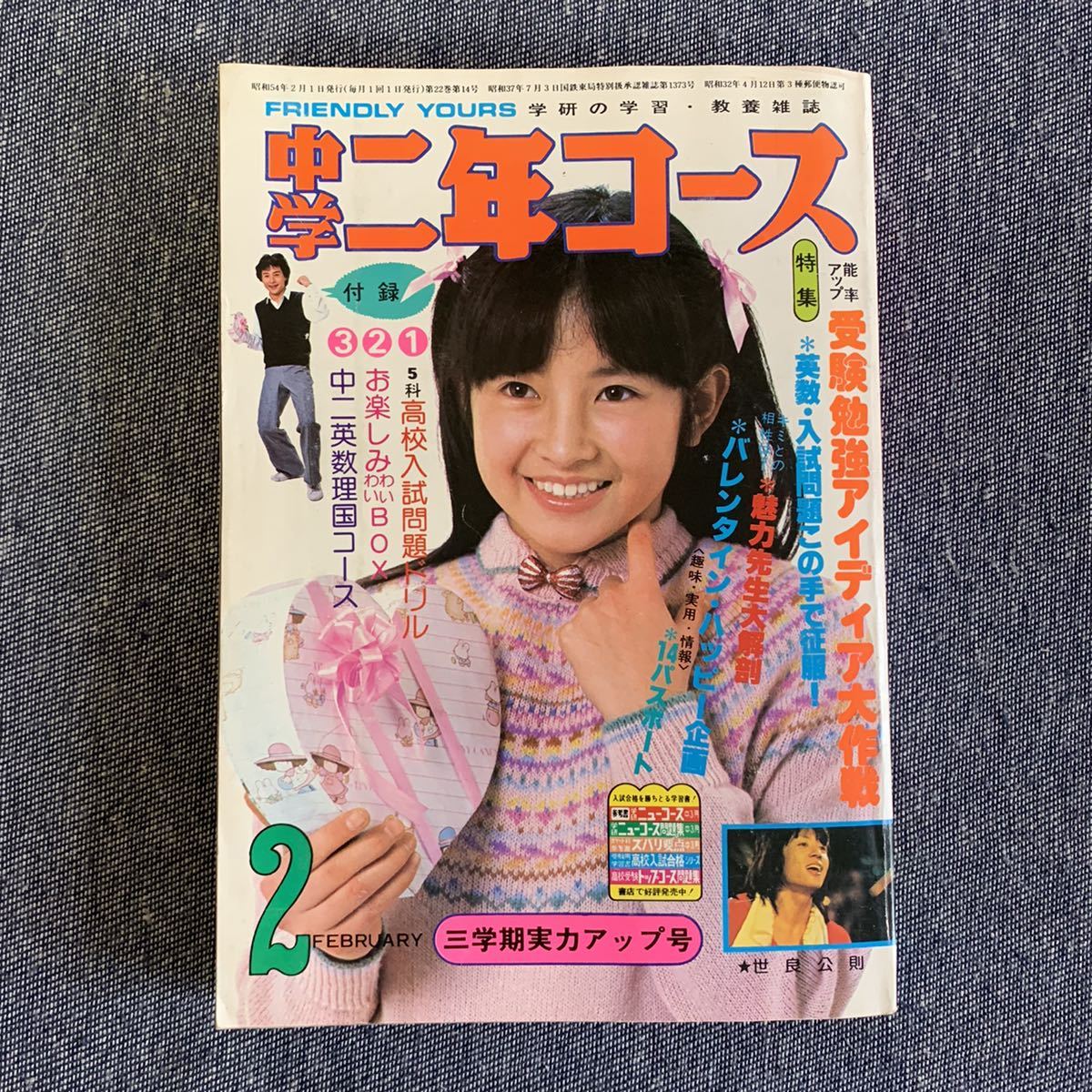 駿河屋 -<中古>ピンク・レディー /