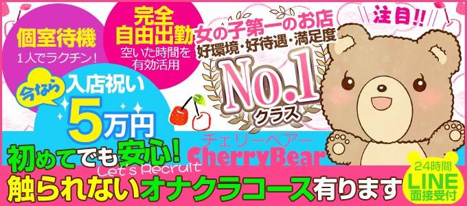 LIBRETTO SELECTION～100人に1人の逸材～｜大和郡山市発 高級デリヘル -