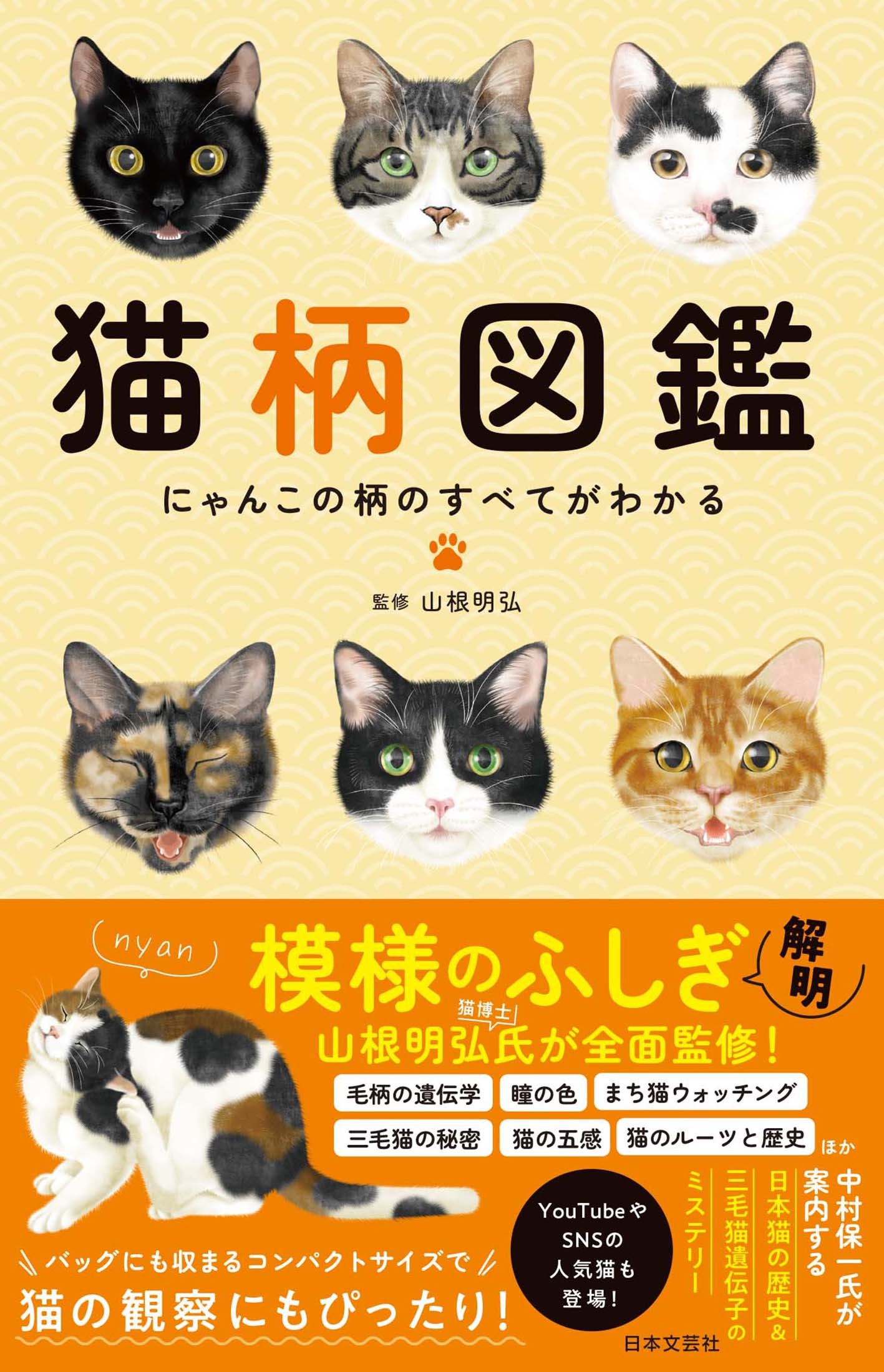 メス犬に欲情する独身ポメラニアン | 熊猫犬日記