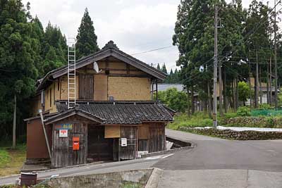 図書館で新しい知識の宝さがし