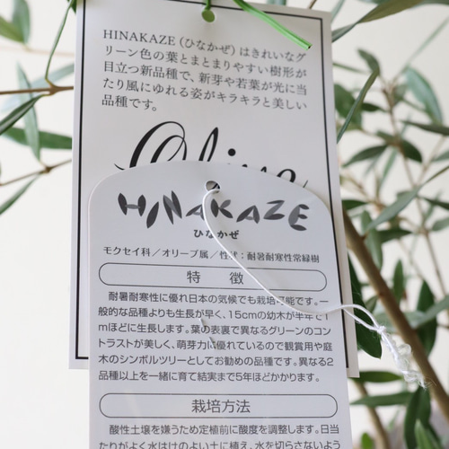 ひなの里保育園の特長 | 学校法人わかば学園ひなの里保育園