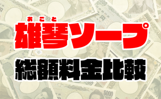 体験談】雄琴のソープ「人魚の城」はNS/NN可？口コミや料金・おすすめ嬢を公開 | Mr.Jのエンタメブログ