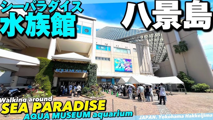 2024年 横浜・八景島シーパラダイス - 出発前に知っておくべきことすべて