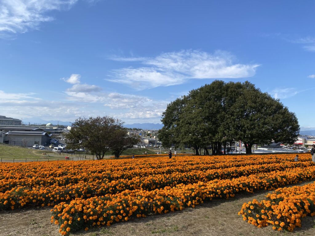 本庄市天気