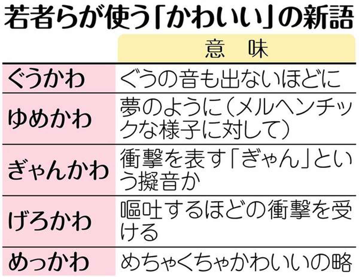 ぎゃんかわ」の発祥は大牟田！？「ぎゃんせ からしか！」…ってどういう意味？