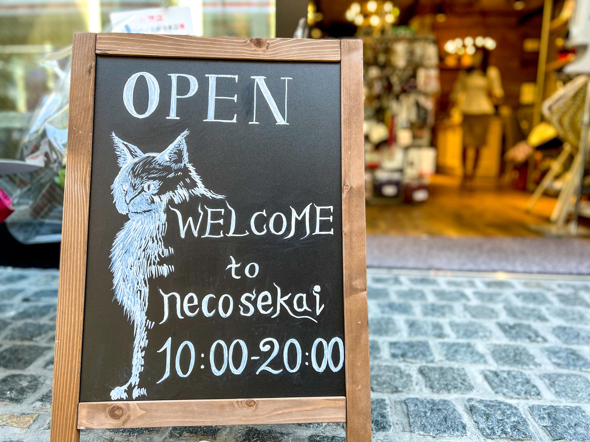 吉祥寺で心ゆくまでリラックスできる極上カフェでゆったり1000円ランチ | 吉祥寺ファンページ