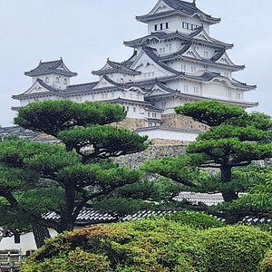 特集〉おすすめ紅葉スポット 2024［神戸・姫路・多可町・養父・丹波］ -