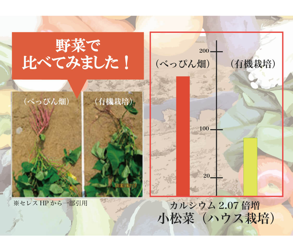 べっぴんはうすやすだ | 資生堂の化粧品・コスメ |