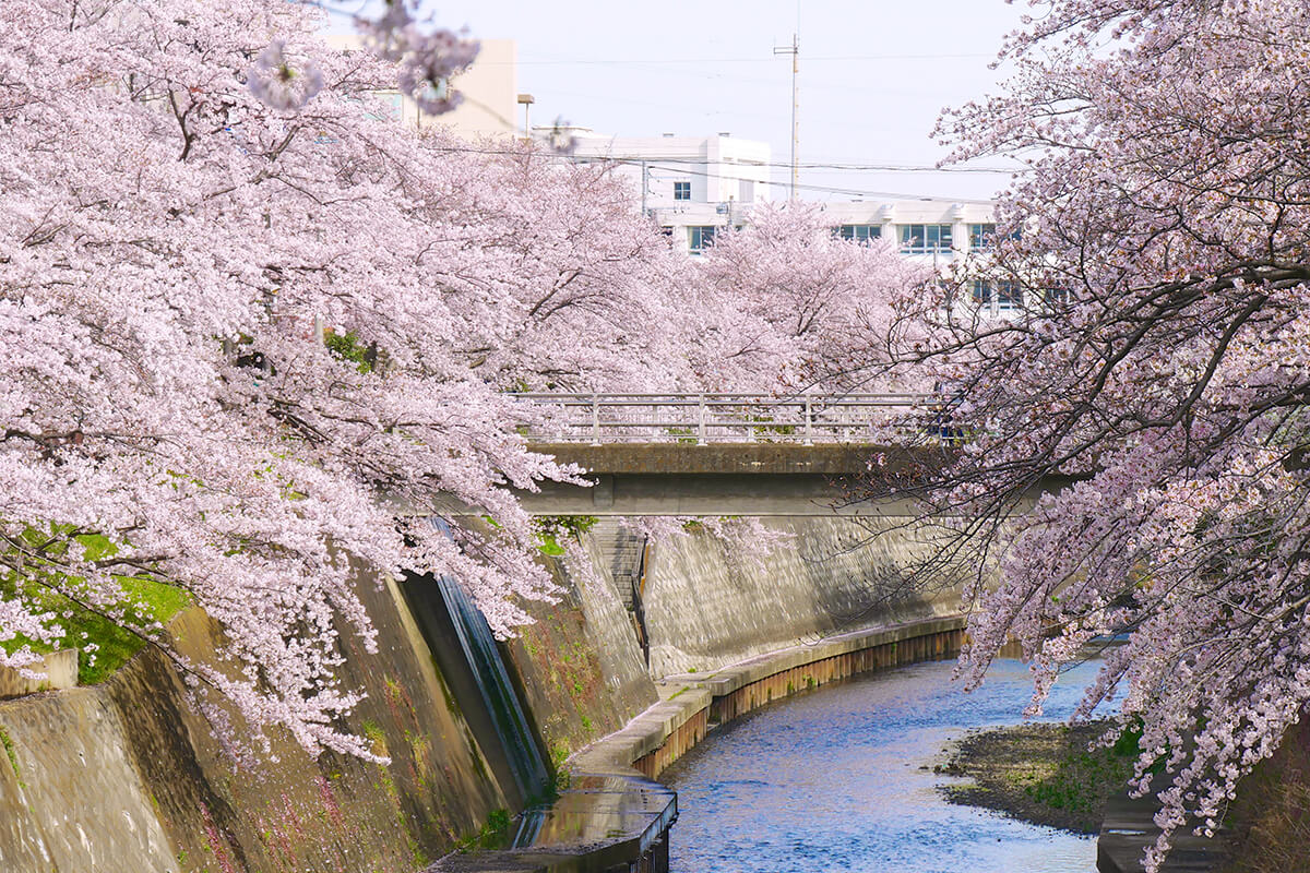 横浜市営地下鉄は「長後駅」から通るはずだったって本当？ - [はまれぽ.com] 横浜