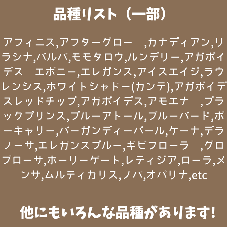 2024年最新】ウエルネス美スタジオ カリスのエステティシャン/セラピスト求人(正職員) | ジョブメドレー