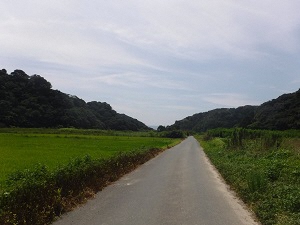 セザンヌ細谷(愛知県豊橋市)の賃貸物件建物情報(賃貸アパート)【ハウスコム】