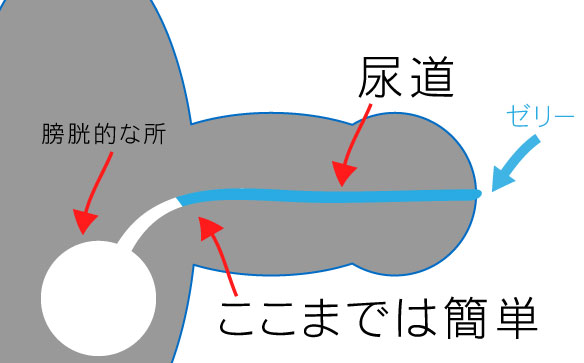 かくにはいぱー on X: