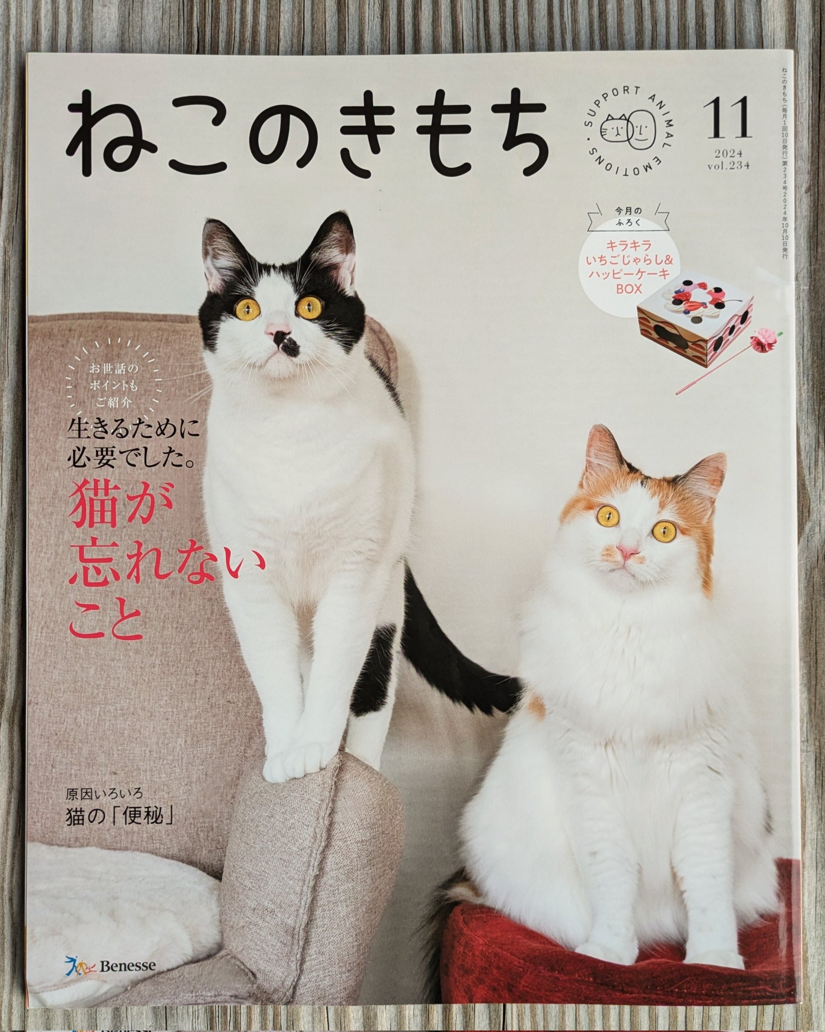 てらねこ 毎日が幸せになる お寺と猫の連れ添い方