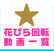 名古屋駅前にある顔見せアリの最強3回転ヘルス「べっぴんコレクション」は日本最強⁉ | 世界中で夜遊び！