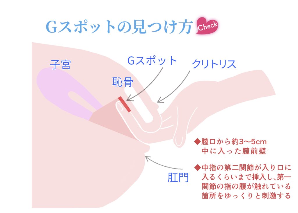 女性が中イキしやすくなる方法やコツからできない原因まで解説 | コラム一覧｜ 東京の婦人科形成・小陰唇縮小・婦人科形成（女性